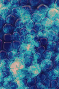 Vitreous #55 thumbnail
