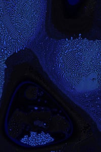 Dactylogram #35 thumbnail