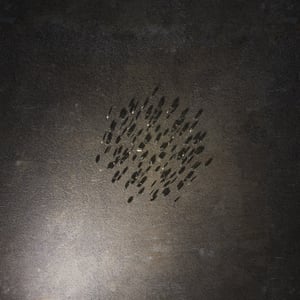 crystalline work (arctic) 5.7.265.1 thumbnail