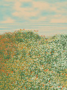 Superbloom #7 thumbnail