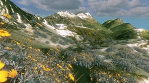 New Landscapes 2023 #14 thumbnail