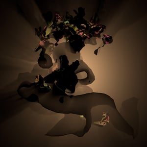 BLOOMCORE #3 thumbnail