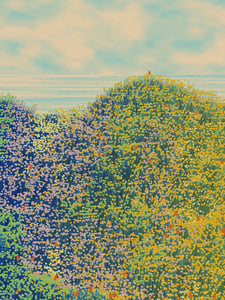 Superbloom #30 thumbnail