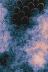 Vitreous #66 thumbnail