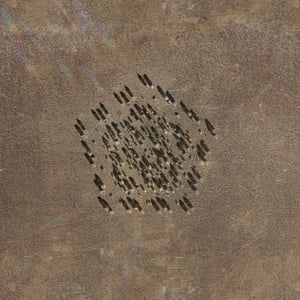 crystalline work (arctic) 20.5.310.1 thumbnail