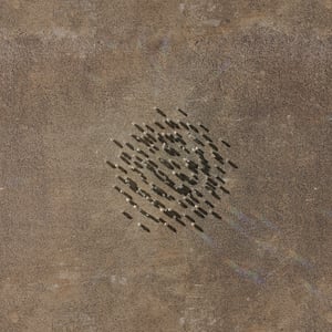 crystalline work (arctic) 6.5.311.1 thumbnail