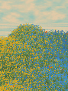 Superbloom #46 thumbnail