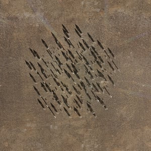 crystalline work (arctic) 20.5.304.1 thumbnail