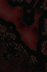 Dactylogram #125 thumbnail