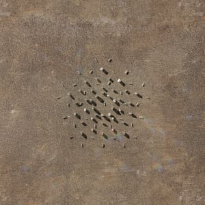 crystalline work (arctic) 7.5.318.1 thumbnail