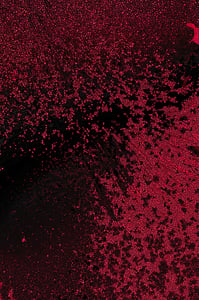Dactylogram #12 thumbnail