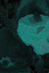 Dactylogram #10 thumbnail