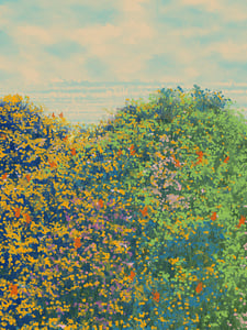 Superbloom #123 thumbnail