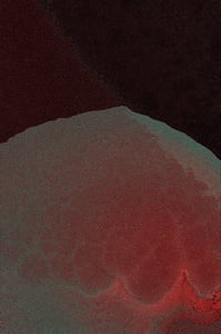 Dactylogram #84 thumbnail