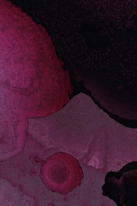 Dactylogram #52 thumbnail