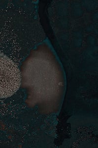 Dactylogram #76 thumbnail