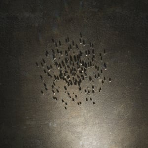 crystalline work (arctic) 24.8.4.0 thumbnail