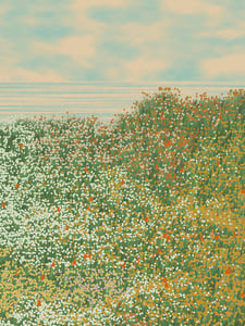 Superbloom #8 thumbnail