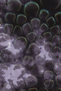 Vitreous #108 thumbnail