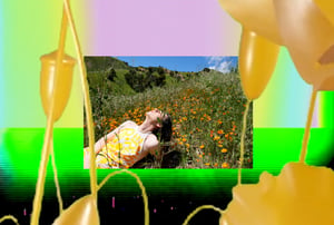 Allure of the Poppy #19 thumbnail