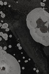 Dactylogram #30 thumbnail