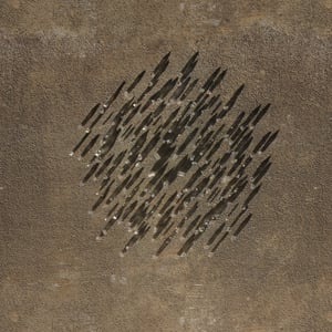 crystalline work (arctic) 24.5.293.1 thumbnail