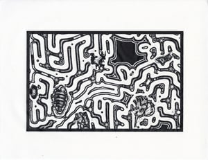 HYPHADEV thumbnail