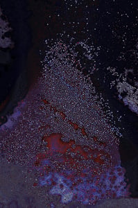Dactylogram #88 thumbnail