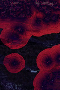 Dactylogram #8 thumbnail