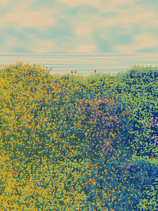 Superbloom #29 thumbnail