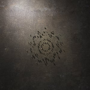 crystalline work (arctic) 11.7.270.1 thumbnail