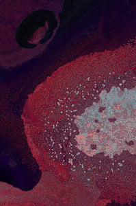 Dactylogram #89 thumbnail