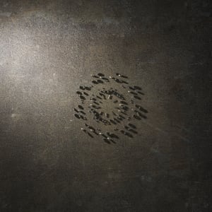 crystalline work (arctic) 9.9.256.1 thumbnail