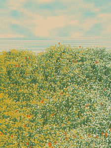 Superbloom #59 thumbnail