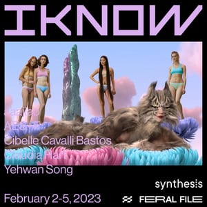 I KNOW - On the aesthetic of truth - Digital Memento thumbnail