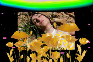 Allure of the Poppy #27 thumbnail