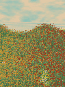 Superbloom #9 thumbnail