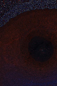 Dactylogram #121 thumbnail
