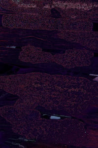 Dactylogram #40 thumbnail