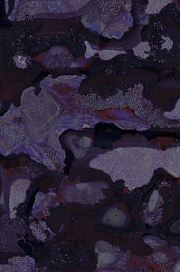 Dactylogram #62 thumbnail