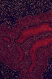 Dactylogram #79 thumbnail