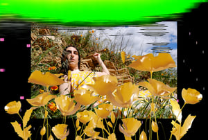 Allure of the Poppy #30 thumbnail
