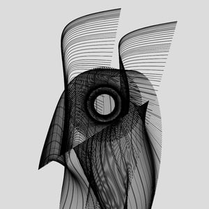 ANATOMY of a rabbit but bird #25 thumbnail
