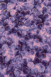 Vitreous #76 thumbnail