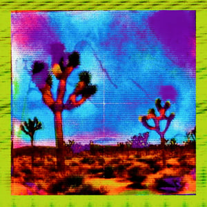 Arid Articulations #4 thumbnail