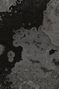 Dactylogram #42 thumbnail