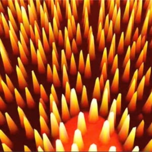 Tin y Pluri #18 thumbnail