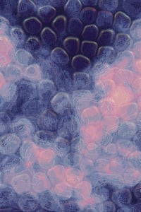 Vitreous #109 thumbnail