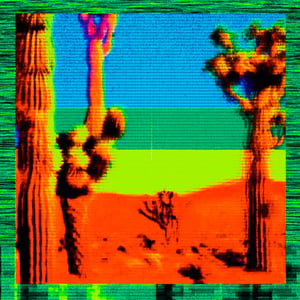 Arid Articulations #2 thumbnail