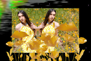 Allure of the Poppy #32 thumbnail